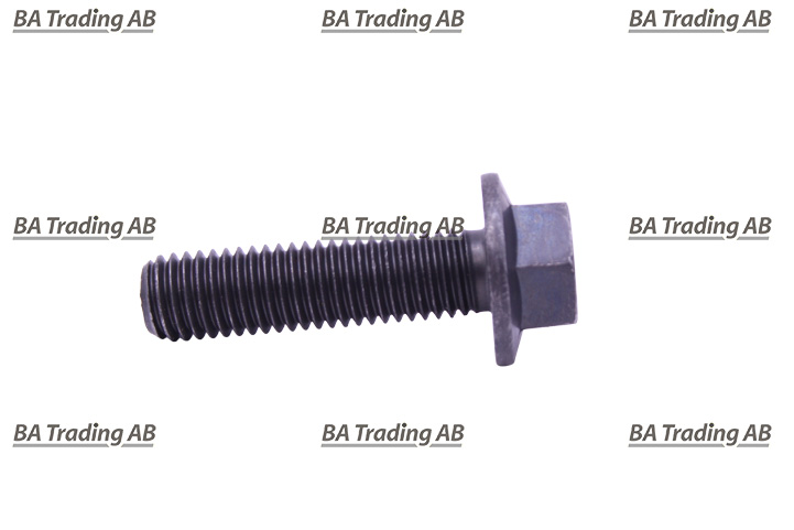 FLANGE SCREW